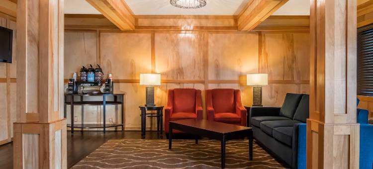 温馨酒店及套房温哥华市中心(Comfort Inn & Suites Vancouver Downtown City Center)图片