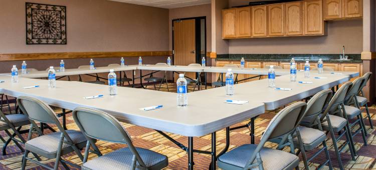 舒适套房酒店(Comfort Inn & Suites)图片