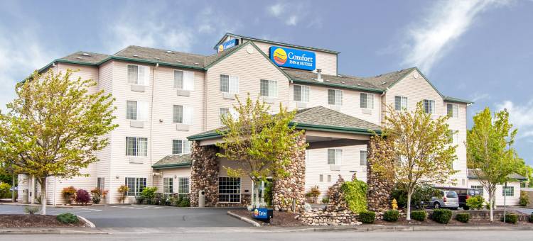 舒适套房酒店(Comfort Inn & Suites Salem)图片