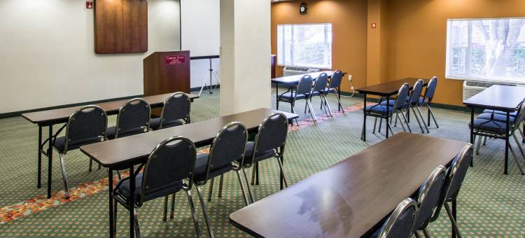 机场舒适套房酒店(Comfort Suites Airport)图片