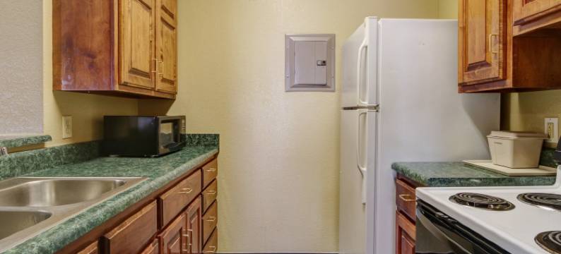 雷哈伯德湖舒适套房酒店(Comfort Suites Lake Ray Hubbard)图片