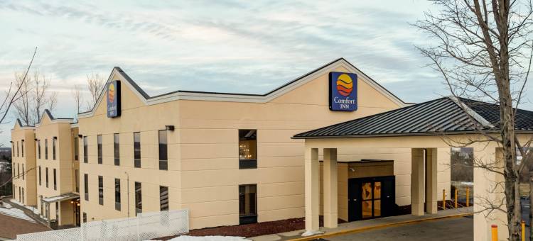 舒适酒店汉堡区 / I-75列克星敦(Comfort Inn Lexington I-75)图片