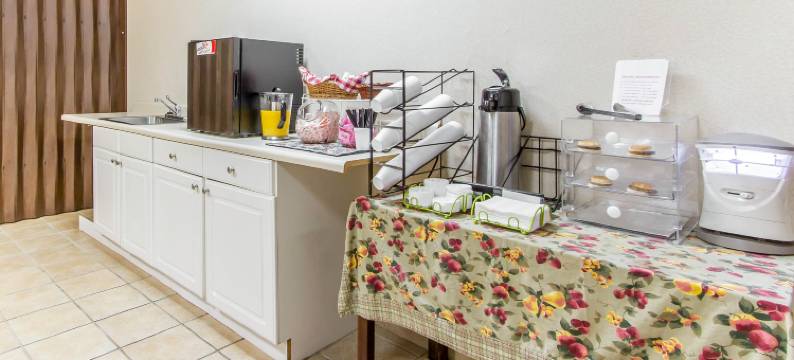 佩恩堡伊克诺旅馆(Econo Lodge Fort Payne)图片