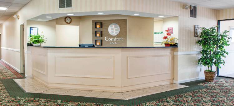 阿米什乡村附近凯艺酒店(Quality Inn & Suites Near Amish Country)图片