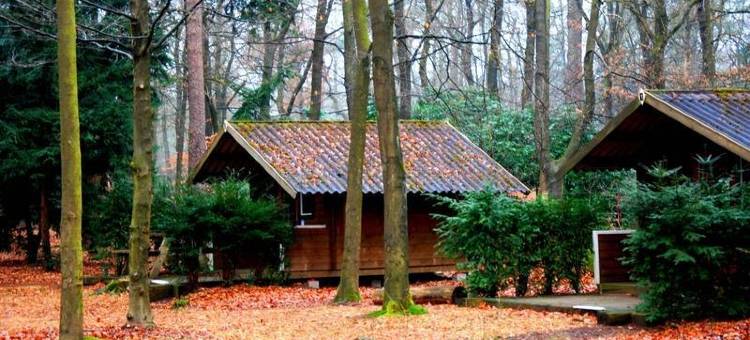 阿培尔顿好住旅馆(Stayokay Hostel Apeldoorn)图片