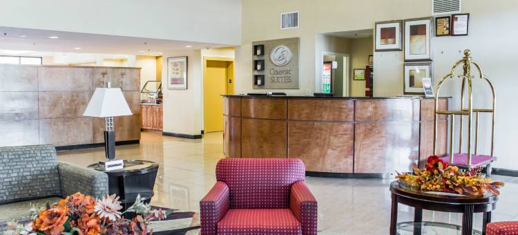 克莱顿加纳舒适套房酒店(Comfort Suites Clayton - Garner)图片