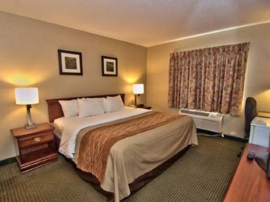 Comfort Inn Suites Wilkes Barre Arena Wilkes Barre Hotel