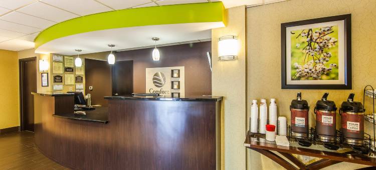 雅典舒适酒店(Comfort Inn Athens I - 75)图片