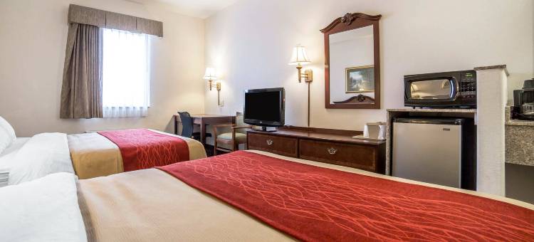 舒适套房酒店(Comfort Inn and Suites)图片