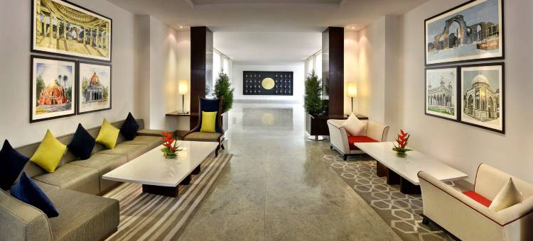 新德里机场大道福朋喜来登酒店(Four Points by Sheraton New Delhi, Airport Highway)图片