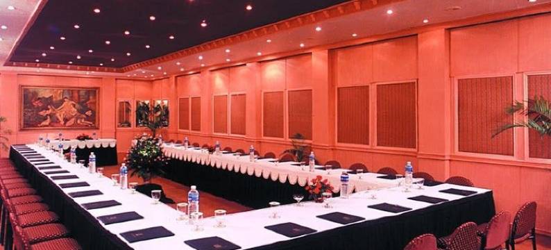 金帕克酒店(Golden Parkk Hotel)图片