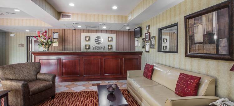 舒适套房酒店(Comfort Inn & Suites)图片