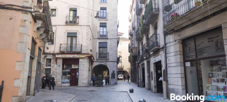 Bravissimo Cort Reial-3A图片