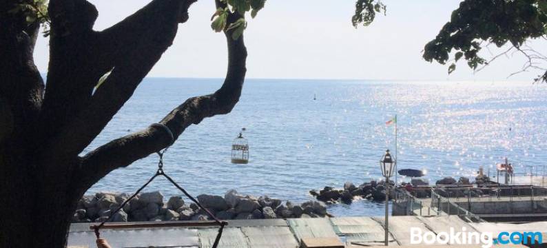 Villa Tergeste图片