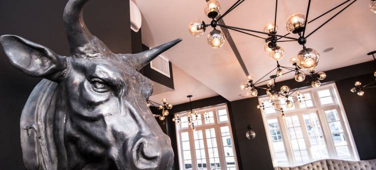 伯明翰雷德蒙特格芮精选希尔顿酒店(Redmont Hotel Birmingham, Curio a Collection by Hilton)图片