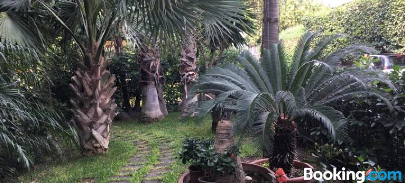 泰拉扎帕文公寓(Terrazza Pavone)图片