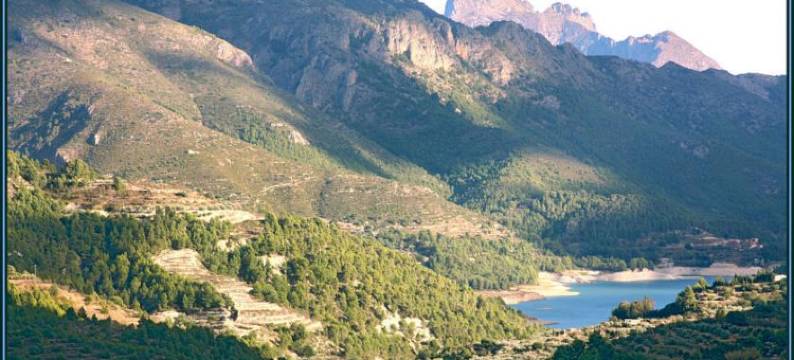 莱昂多米多乡村青年旅舍(Leon Dormido Rooms & Apartments)图片