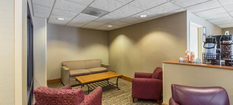 舒适套房酒店(Comfort Inn & Suites)图片