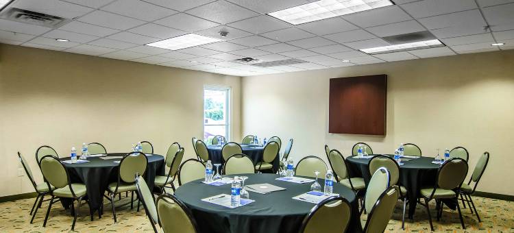 范布伦-福特史密斯舒适套房酒店(Comfort Inn and Suites Van Buren - Fort Smith)图片