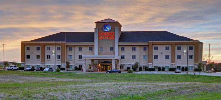 舒适套房酒店(Quality Suites Near Cedar Creek Lake)图片