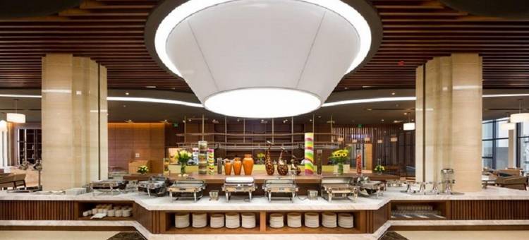 岘港莫荣安豪华酒店(Muong Thanh Luxury Da Nang Hotel)图片