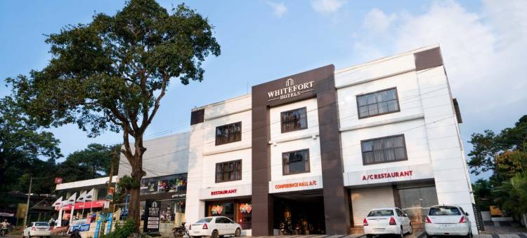 OYO 9404 Hotel White Fort图片