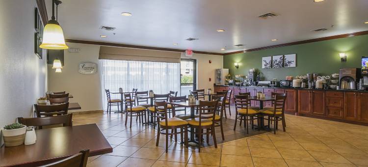 曼彻斯特舒眠酒店及套房(Sleep Inn & Suites)图片