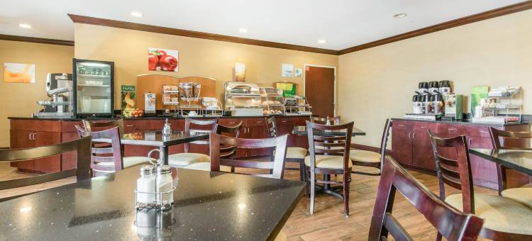 凯艺套房酒店(Quality Inn & Suites)图片