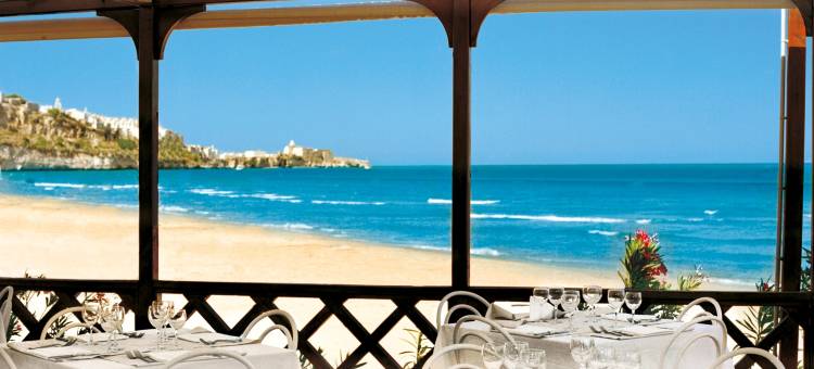 皮佐穆诺维耶斯泰宫酒店(Pizzomunno Vieste Palace Hotel)图片