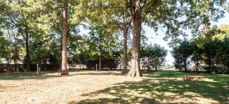 舒适酒店-盖瑟斯堡罗克维尔凉荫丛(Comfort Inn Shady Grove - Gaithersburg - Rockville)图片