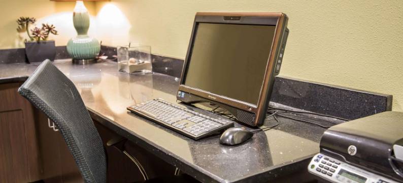 新伯尔尼和樱桃角舒适套房酒店(Comfort Suites New Bern Near Cherry Point)图片