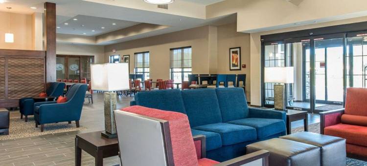 彩虹泉附近舒适套房酒店(Comfort Suites Dunnellon Near Rainbow Springs)图片