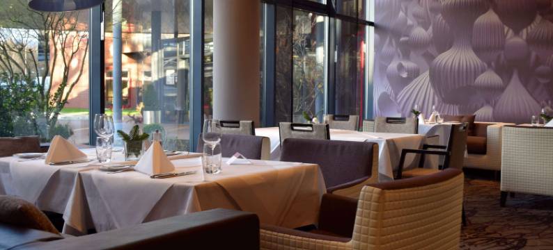 法兰克福奥伯乌瑟尔 Elaya 酒店(Elaya Hotel Frankfurt Oberursel)图片