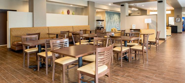 安克尼-得梅因舒眠套房酒店(Sleep Inn & Suites Ankeny - des Moines)图片