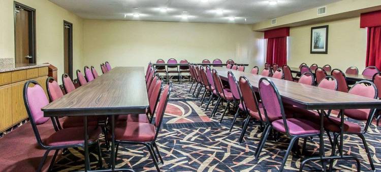 品质套房旅馆(Quality Inn & Suites)图片