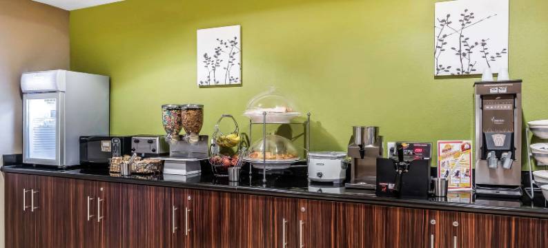 多森北舒眠套房酒店(Sleep Inn & Suites Dothan North)图片