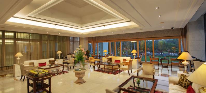 杰皮宫酒店&国际会议中心(Jaypee Palace Hotel)图片