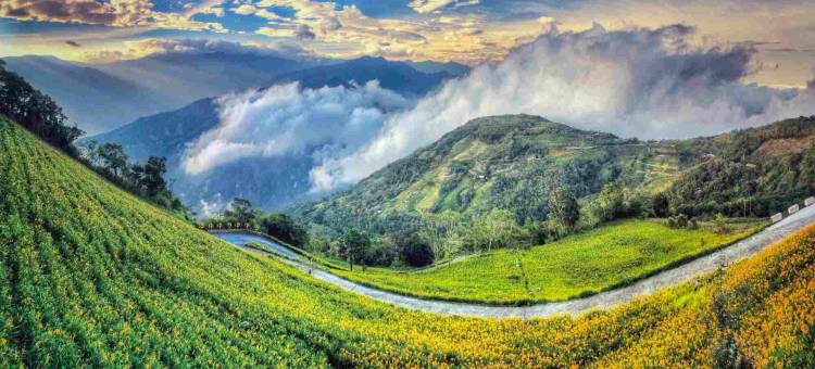 台东环山雅筑民宿图片