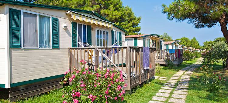 Arena Stupice 露营屋(Arena Stupice Camping Homes)图片