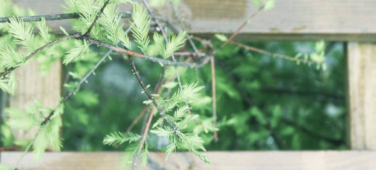 花莲汎水凌山自然手感民宿 近花莲机场、火车站图片