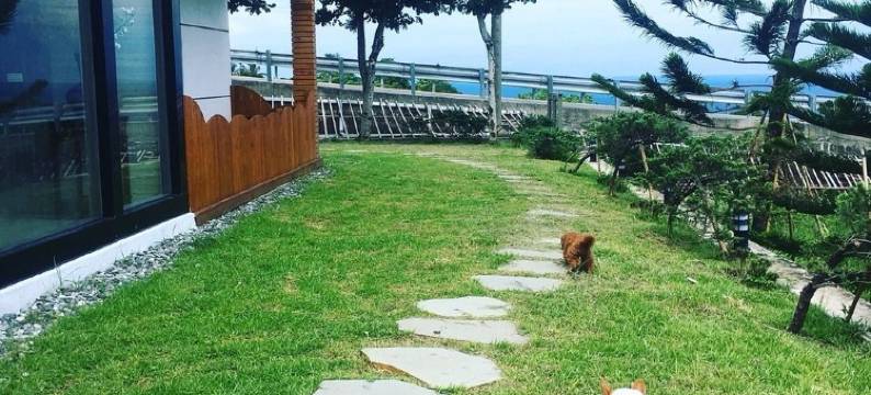 鹿角海月民宿图片