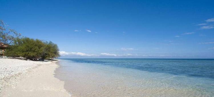 吉利埃科别墅酒店(Gili Eco Villas)图片