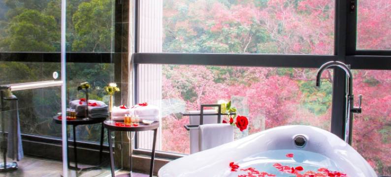 新北白金花园酒店图片