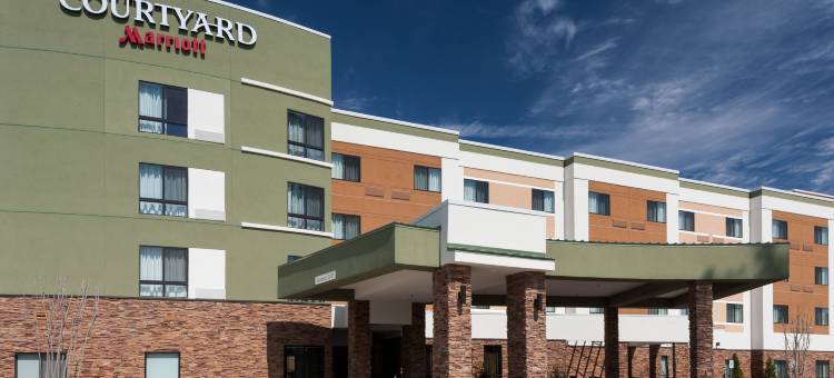 休斯顿北/谢南多厄万怡酒店(Courtyard Houston North/Shenandoah)图片