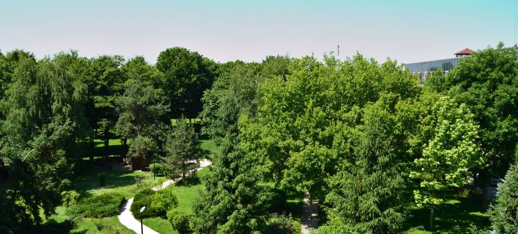 Crowne Plaza 布加勒斯特(Crowne Plaza Bucharest)图片