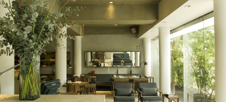 哈比塔酒店(Habita, Mexico City, a Member of Design Hotels)(Habita, Mexico City, a Member of Design Hotels)图片