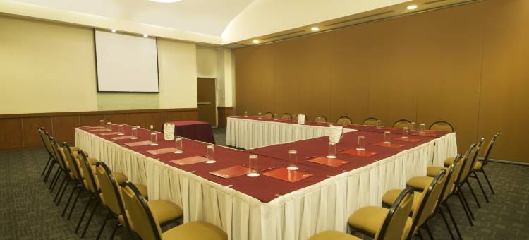 Fiesta Inn Express 普埃布拉 芬萨(Fiesta Inn Express Puebla Finsa)图片