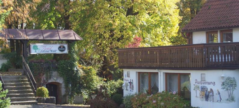 格雷纳瓦尔德酒店(Grüner Wald Hotel Gasthof)图片