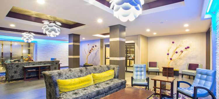 智选假日套房酒店阿马里洛(西)(Holiday Inn Express & Suites Amarillo West)图片