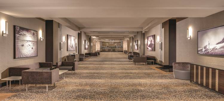 卢克索酒店(Luxor Hotel & Casino)图片